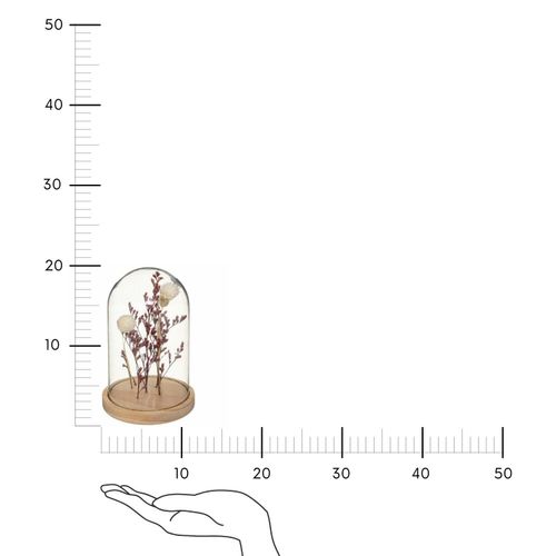 Suszone kwiaty pod kloszem Gypsy na Arena.pl