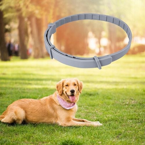 OBROŻA NA PASOŻYTY DLA PSA DO 8KG 40CM 8 MIESIĘCY DZIAŁANIA na Arena.pl