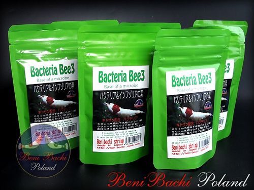 Benibachi Bacteria Bee3 na Arena.pl