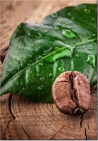 100 70CM OBRAZ PŁÓTNO ZIARNA KAWY DESCE PŁÓTNO RAMA