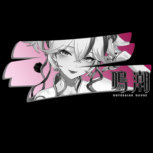 Koszulka Czarna Wuthering Waves - WYBIERZ FASON I KOLOR KOSZULKI Męska XL na Arena.pl