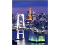 40X50CM ZATOKA TOKIJSKA OBRAZ