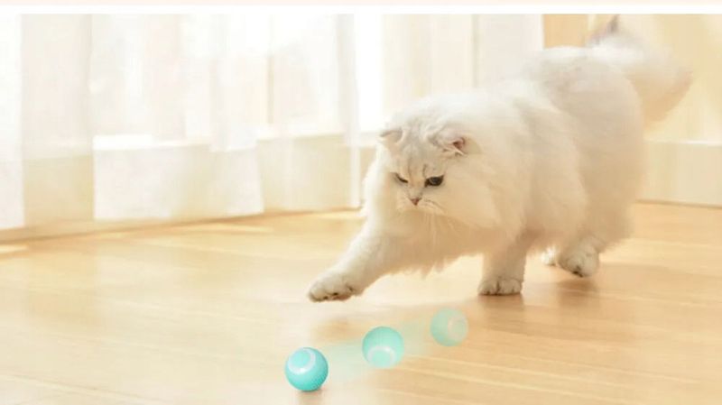 INTERAKTYWNA PIŁKA dla KOTA Psa ZABAWKA UCIEKAJĄCA 2 tryby WERSJA 2.0 zdjęcie 4