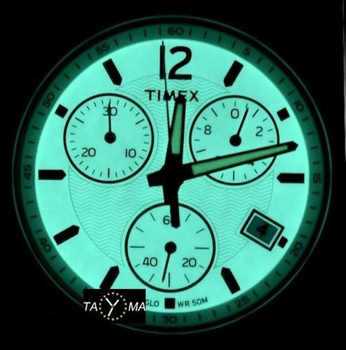 TIMEX TW2P62300 (zt087a) na Arena.pl