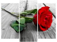 OBRAZ RED ROSE