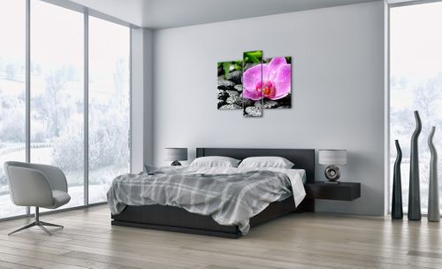 Obraz Na Płótnie - Storczyk Kamień - 95X80 Cm - Cb95X80-2165 na Arena.pl