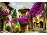 product-compare-58693881