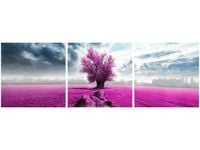 OBRAZ FIELD&TREE POLE DRZEWO KOLORY