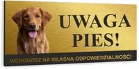 Tabliczka UWAGA ZŁY PIES GOLDEN RETRIEVER alumini