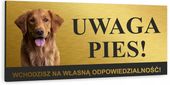 Tabliczka UWAGA ZŁY PIES GOLDEN RETRIEVER alumini