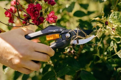 Sekator Ogrodniczy Fiskars P26 Singlestep 1000567 Nożyce do świeżych na Arena.pl