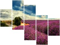 100 75CM OBRAZ 5 ELEM LAWENDOWY KRAJOBRAZ ŚCIENNY