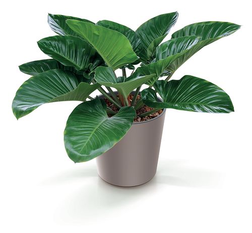 Doniczka okrągła niska URBI DURO250 | Biały na Arena.pl