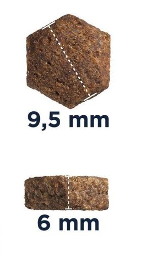 eukanuba puppy&junior medium breed 15kg na Arena.pl