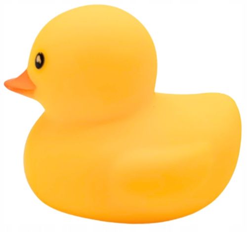 KACZKI Kaczuszki komplet 12 sztuk ŚMIESZNY ZABAWNY PREZENT PISZCZAŁKA na Arena.pl