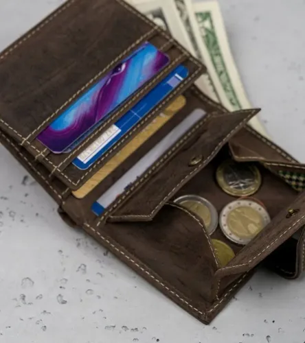 portfel męski brązowy buffalo wild na Arena.pl