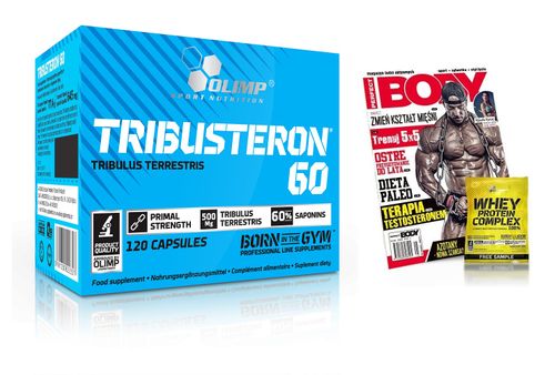OLIMP TRIBUSTERON 60 120kaps MOC TRIBULUS + GRATIS na Arena.pl