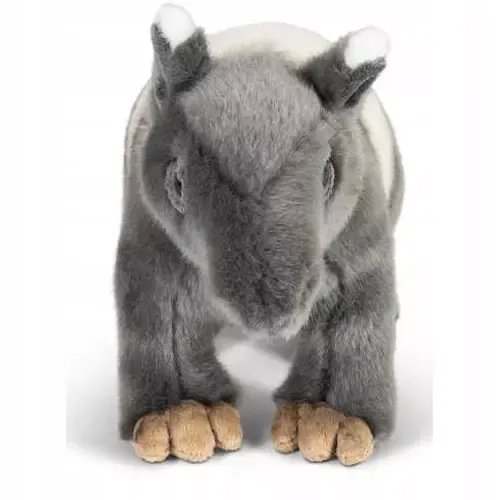 Tapir zdjęcie 1