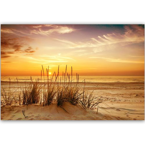 Obraz na płótnie - Canvas, Trawy na plaży 3 60x40 na Arena.pl