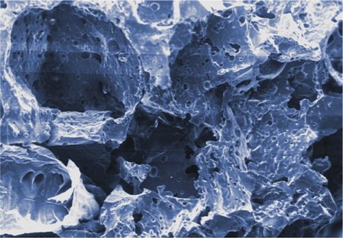 Sera Siporax 1000 ml na Arena.pl