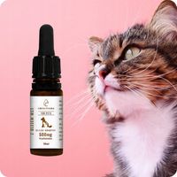 Olejek CBD dla Psa i Kota 5% 500 mg | Weterynaryjny | Bez THC | Bezsmakowy