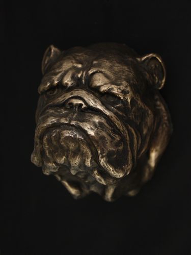 Buldog Angielski - figurka - 431 na Arena.pl