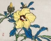 Plakat 50x40cm Hibiscus, Kōno Bairei Japoński Vintage do Salonu