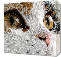 Obraz 40x40cm Nitkowany Kot