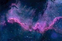 Tło fotograficzne Produktowe FLAT LAT Kulinarne