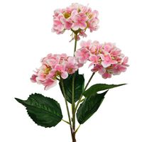 Hortensja x3 gumowana różowa