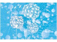 product-compare-58695741