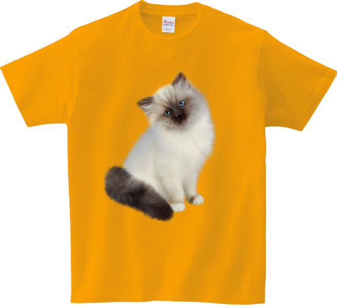 Koszulka T-shirt Kot zdjęcie 1