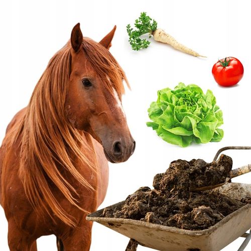 PRAWDZIWY OBORNIK KOŃSKI NIEGRANULOWANY NAJLEPSZY JESIENNY NAWÓZ WOREK na Arena.pl