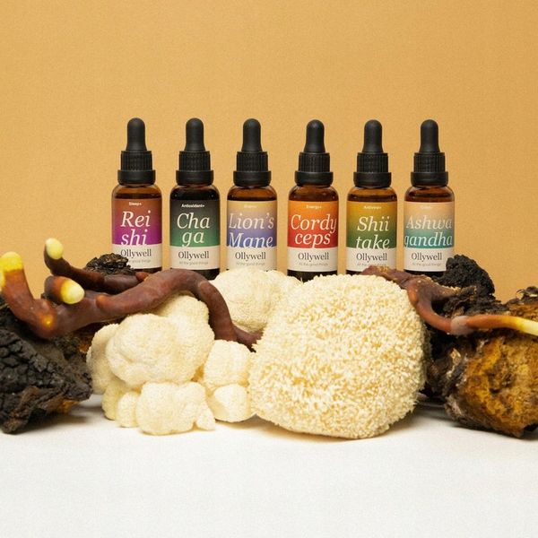 Polski Lion's Mane i Cordyceps od Ollywell Krople Silny ekstrakt Adaptogen zdjęcie 7