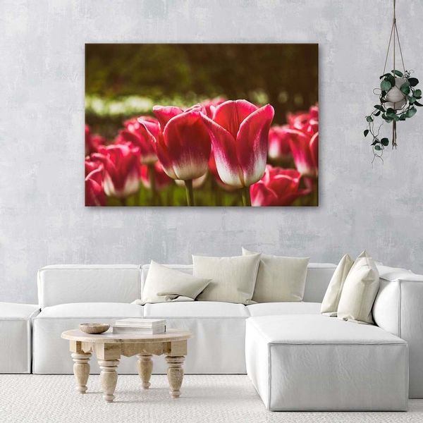Emaga Obraz na płótnie, Kwitnące tulipany - 120x80 zdjęcie 2