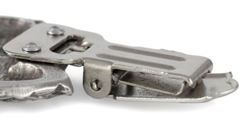 Spaniel Angielski Springer - klips - 2561 na Arena.pl