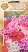 Godecja wielkokwiatowa mix nasiona rabaty obwódka