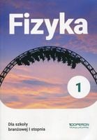 Fizyka 1 Grzegorz Kornaś