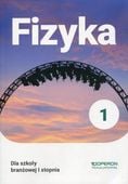Fizyka 1 Grzegorz Kornaś
