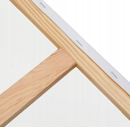 PŁÓTNO PODOBRAZIE MALARSKIE PROFESSIONAL ART BAWEŁNIANE 80x120 na Arena.pl