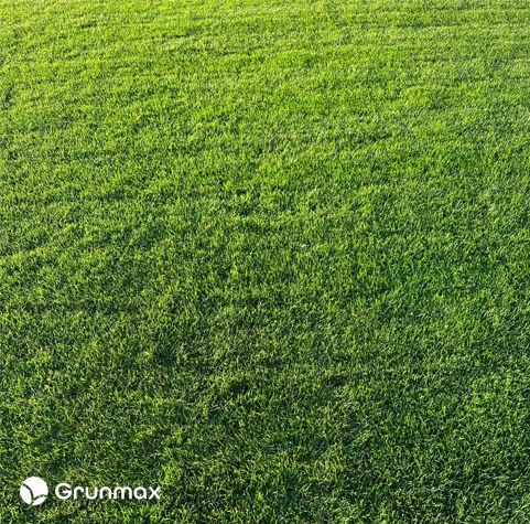 GRUNMAX - Green expert wiosenny nawóz do trawy, trawnika , PREMIUM 20kg na Arena.pl