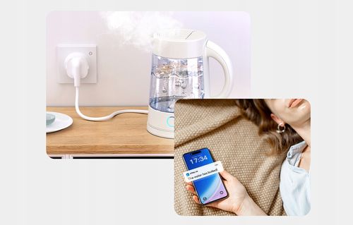 Sonoff WS01TPF-E WiFi Matter Inteligentne Gniazdko Ścienne Typ F Schuko 16A na Arena.pl