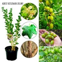 product-compare-64803631