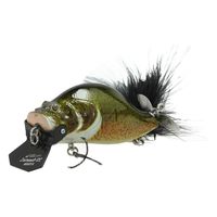 ADUSTA ZACRAWL SC 011 MURRAY COD