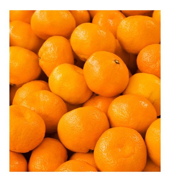 Yodeyma Escitia Woda Perfumowana Dla Kobiet 100ml zdjęcie 3