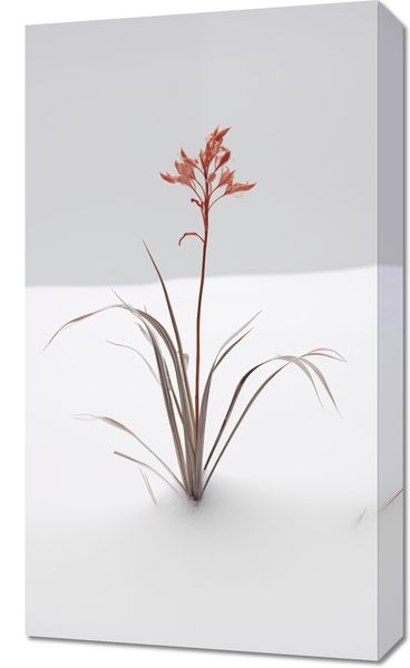 Obraz 40x70cm Subtelność Natury zdjęcie 1