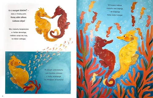 Opowieści 5 Minut Przed Snem. Cuda W Morzu na Arena.pl