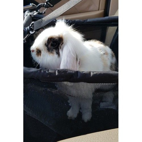 Transporter Dla Psa Na Siedzenie Purlov 20973 na Arena.pl