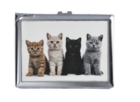 Papierośnica z Wbudowaną Zapalniczką Płomieniową i Czterema Kociętami