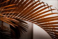 Tło FLAT LAY do fotografii produktowej kulinarnej